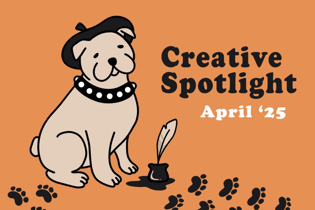 Creative Spotlight
