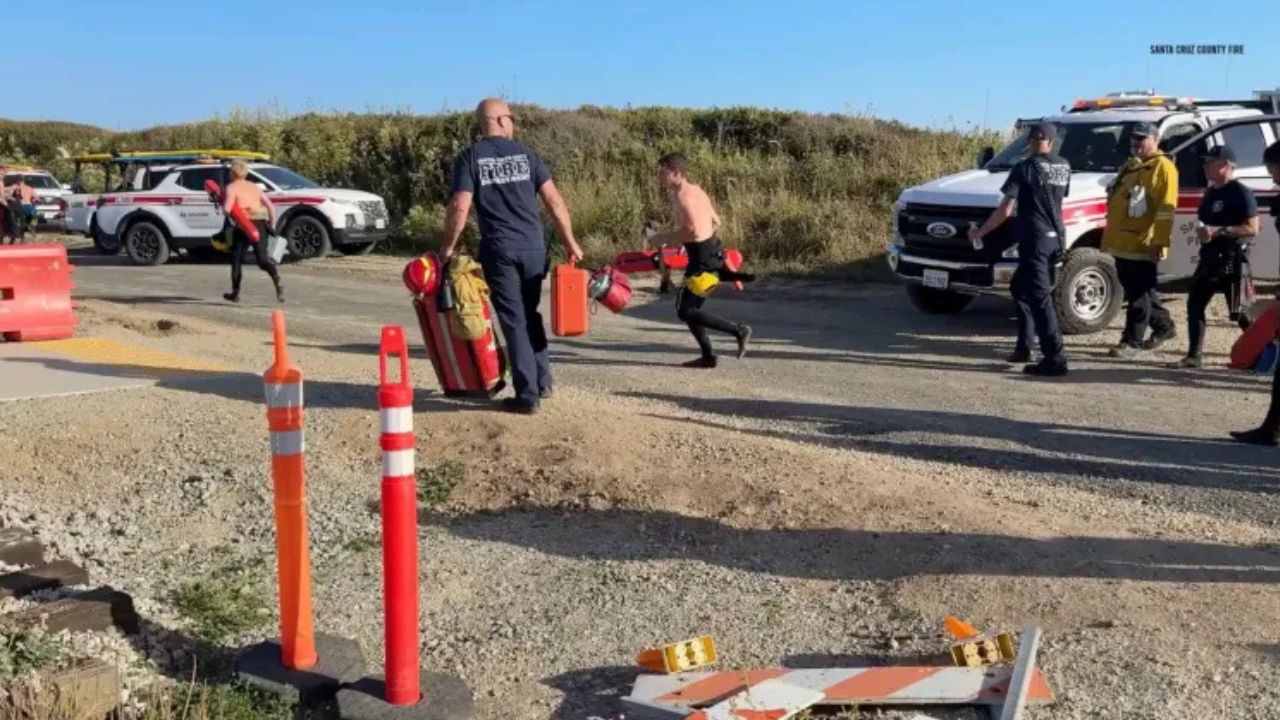 California Couple Fights Off Attacking Bear With Hatchet and Water Bottle Outside Home (1)