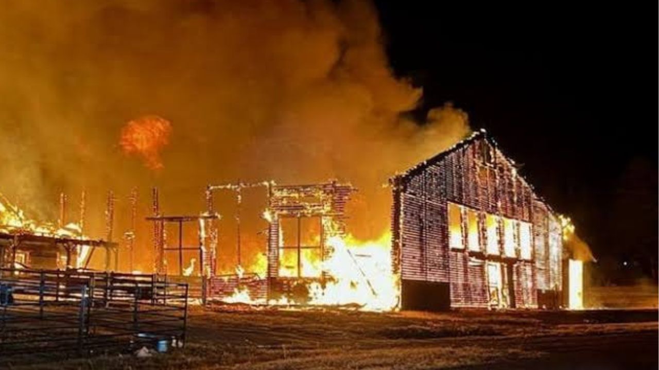 Devastating Barn Fire Kills 17 Horses at Saratoga Racetrack in ‘Horse Person’s Worst Nightmare’
