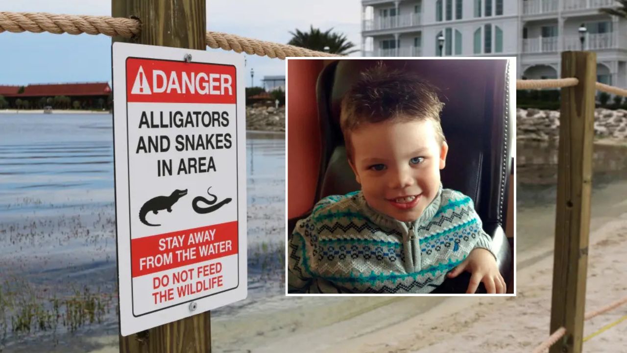 Disney World Removes More Than 400 Alligators After Tragic Child Attack Changed Resort Safety