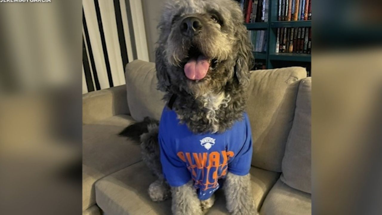 Family Says Dog Was Killed by Police While Celebrating Knicks Victory at California Home