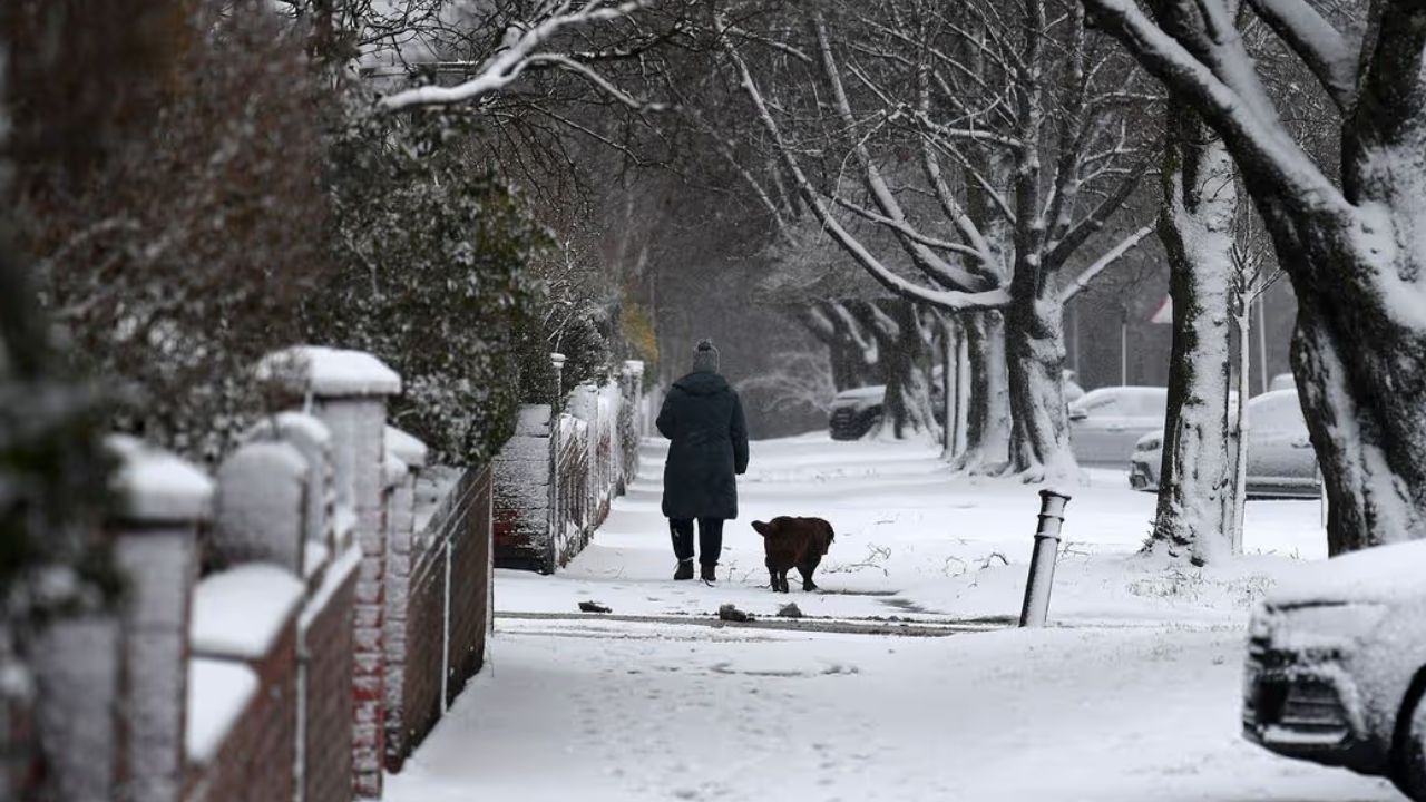 Summer Snow is Coming Parts of the U.S. Could Turn White This Weekend Despite June Heat