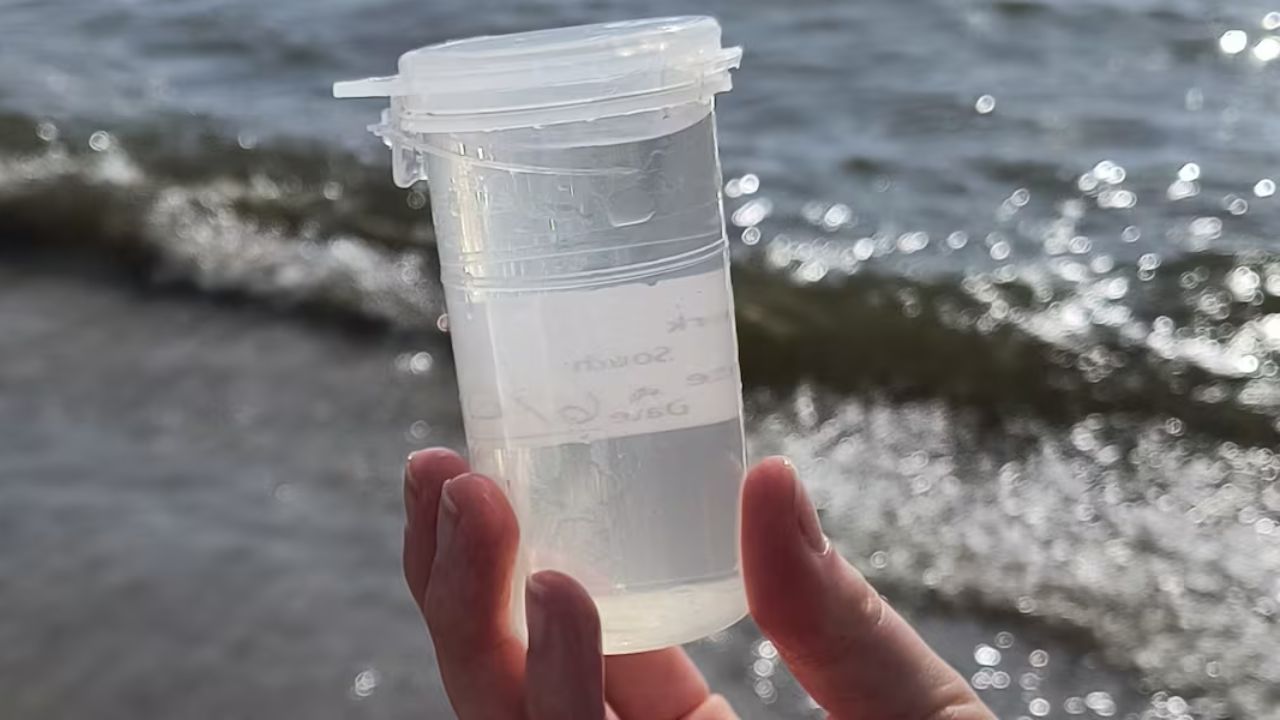 Warning Issued Popular U.S. Beaches Closed or Under Advisory as Dangerous Bacteria Levels Rise
