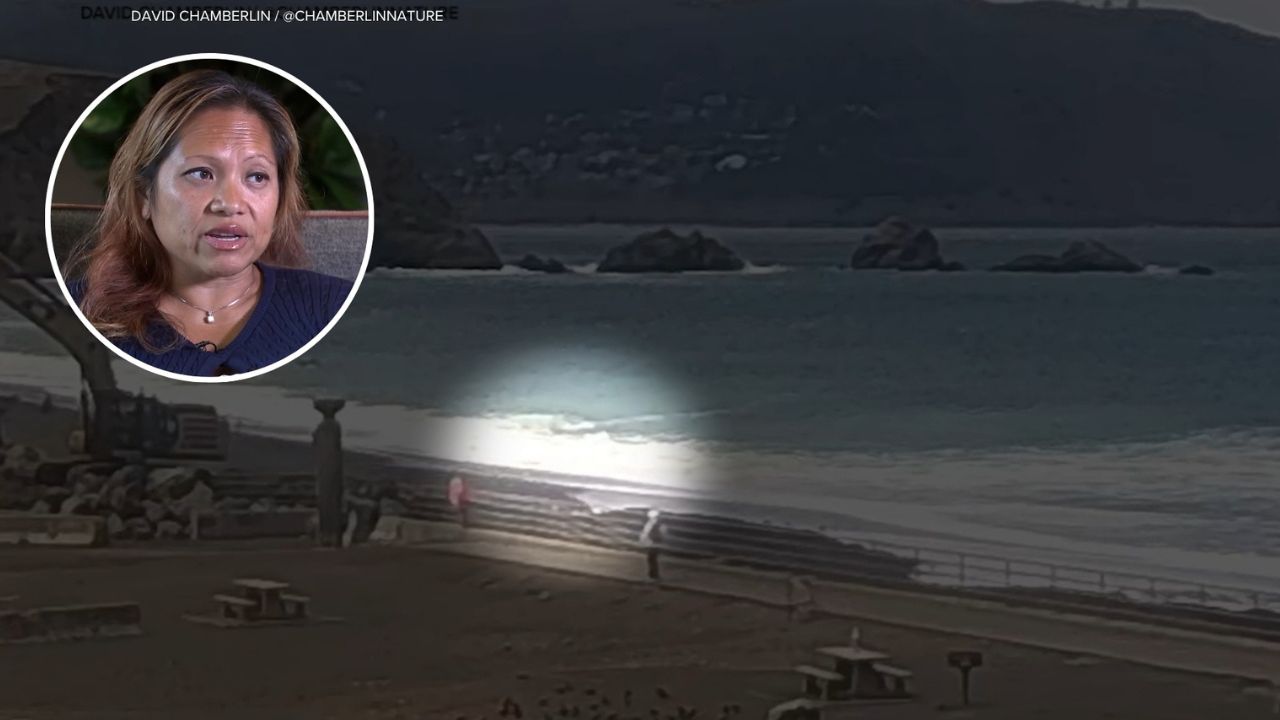 ‘It Just Swallowed Me’ Terrifying Video Shows California Woman Dragged 30 Feet Into Ocean by Unexpected Wave