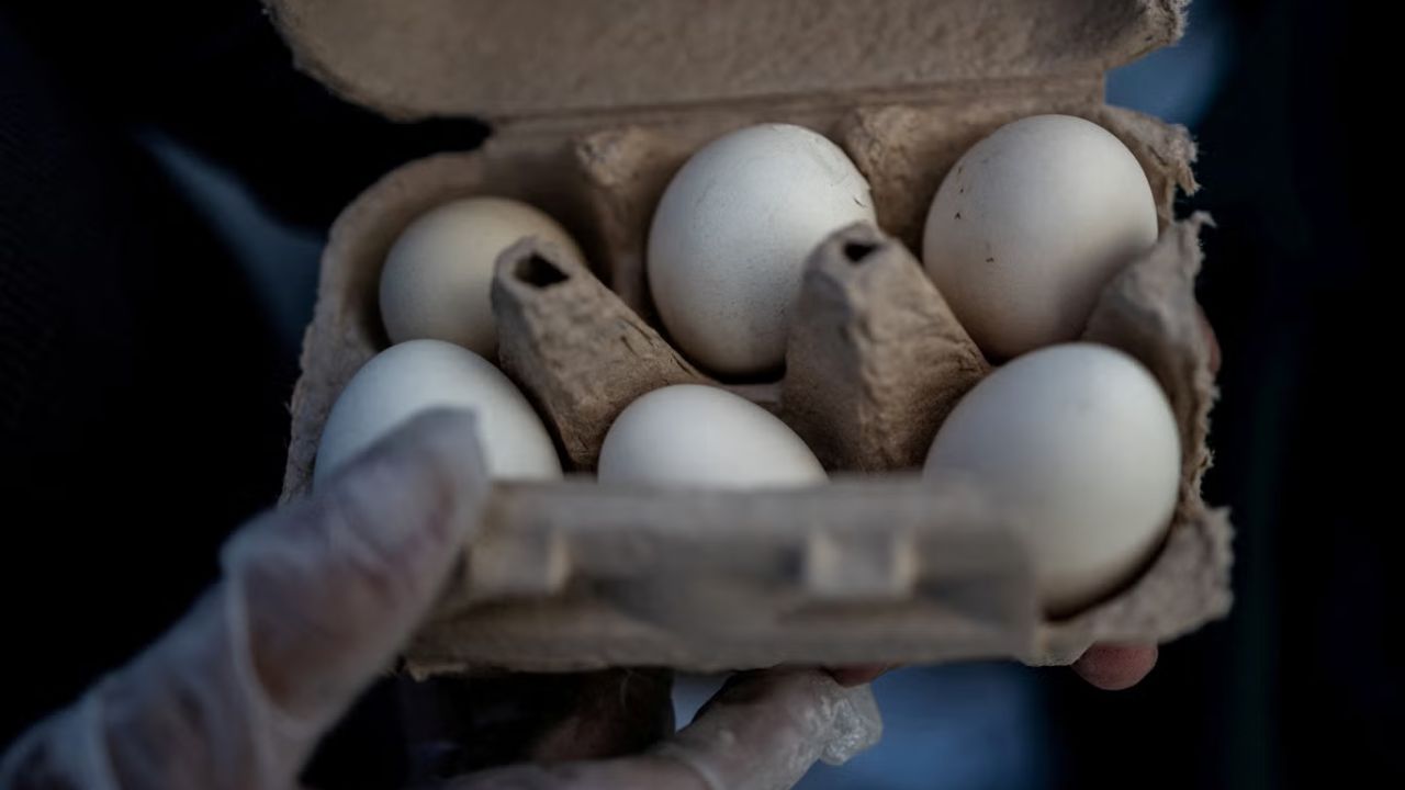 1.6 Million Eggs Recalled Across 5 States as Salmonella Fears Grow Amid Rising Foodborne Illness Cases