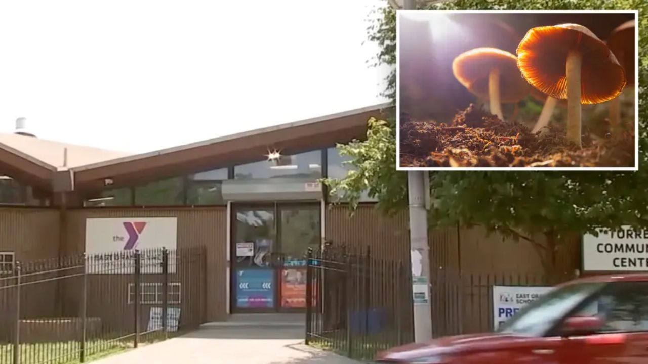 13 Kids Hospitalized After Suspected Mushroom-Laced Chocolate Sparks ‘Zombie-Like’ Reactions at New Jersey Summer Camp