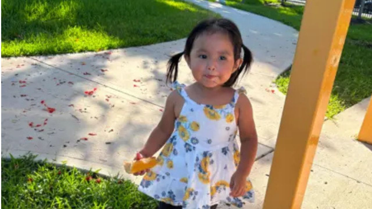 2-Year-Old Florida Girl Dies in Hot Car After Babysitter Allegedly Leaves Her Inside for Hours