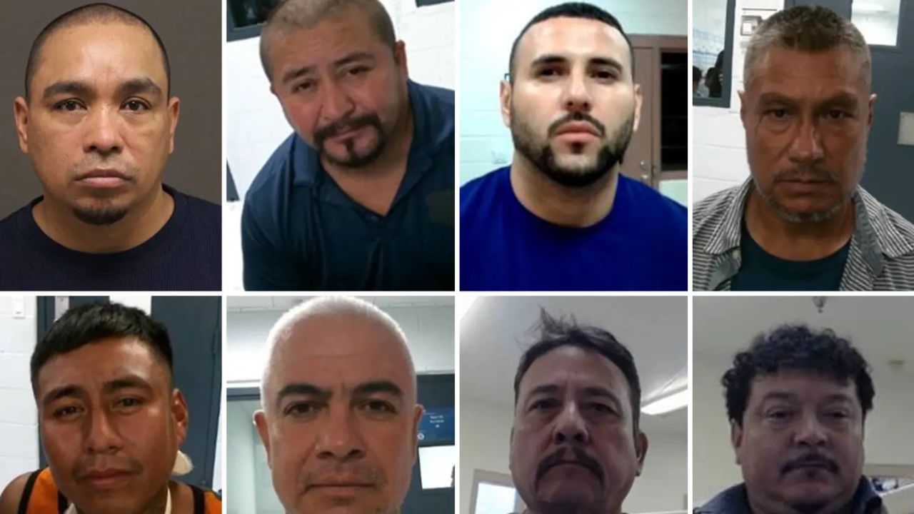238 Illegal Immigrants Arrested in Massive South Texas ICE Operation as Agency Highlights Record Enforcement Day