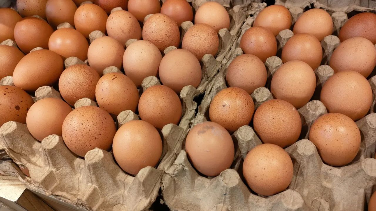 4 Hospitalized as Salmonella Outbreak Traced to Popular California Deli's Homemade Mayonnaise and Unpasteurized Eggs