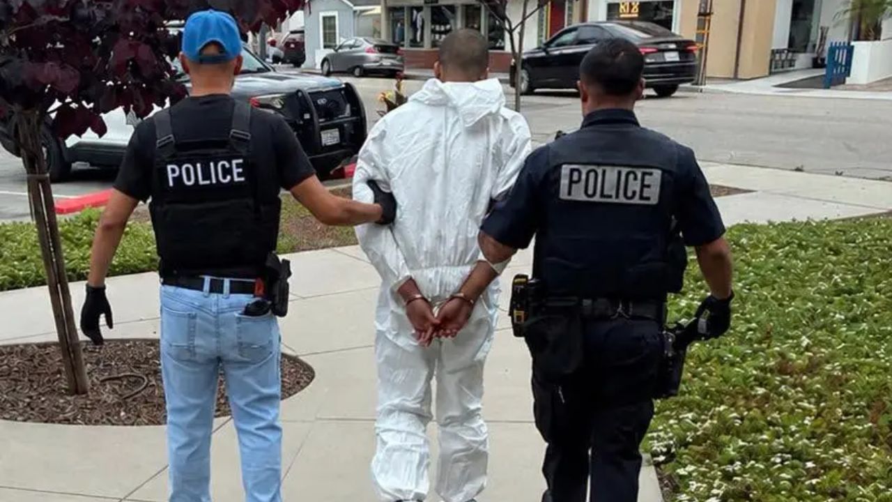 73-Year-Old Artist Fatally Stabbed in Random California Mall Attack, Teen Murder Suspect Was Already Facing Felony Case