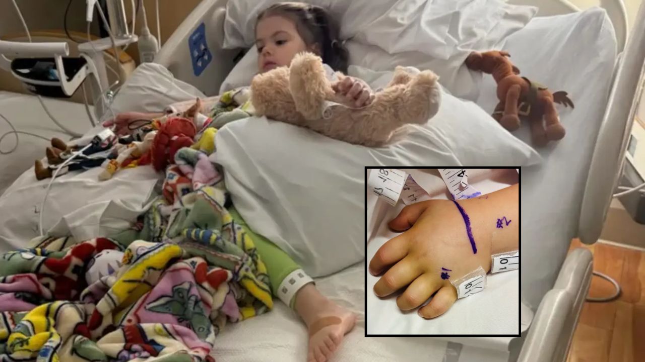 California Dad Shares Terrifying Warning After 3-Year-Old Girl Bitten by Rattlesnake Hidden Under Amazon Package