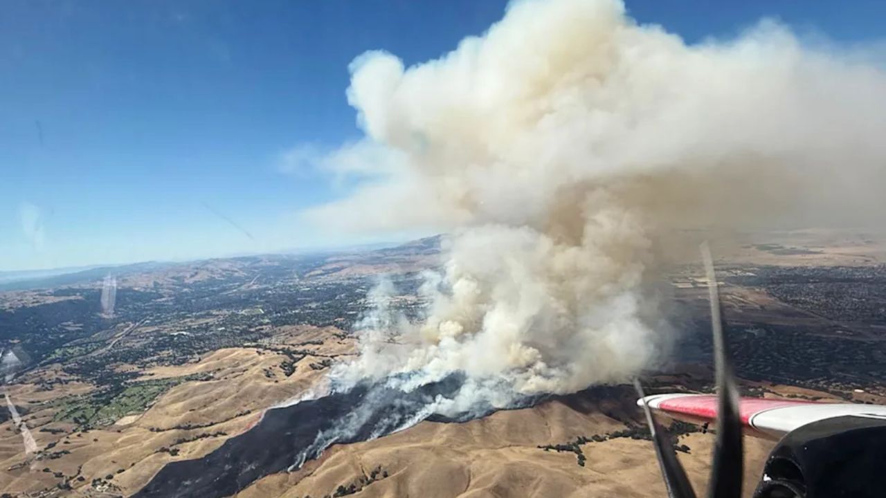 California Wildfire Emergency Fast-Moving Bay Area Wildfire Explodes to 1,000 Acres, Forcing Evacuations to Residents