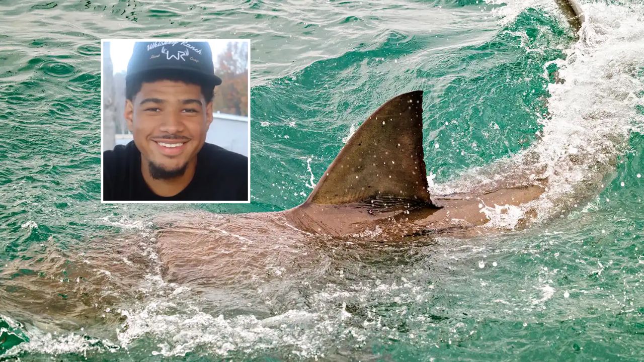 Florida Man Saves His Pregnant Fiancée During Terrifying Shark Attack, Then Realizes Blood Is Pouring From His Foot