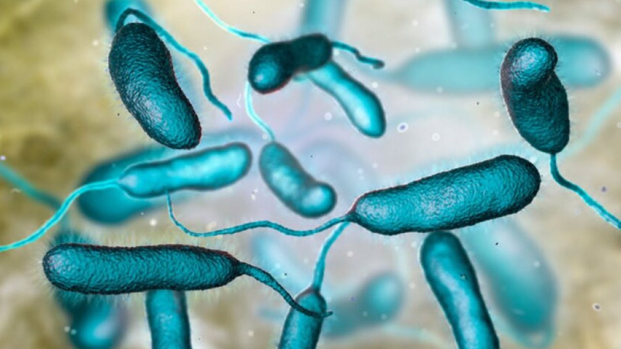 Health Alert Florida Confirms First 2026 Death From Rare ‘Flesh-Eating’ Bacteria as Health Officials Issue Warning
