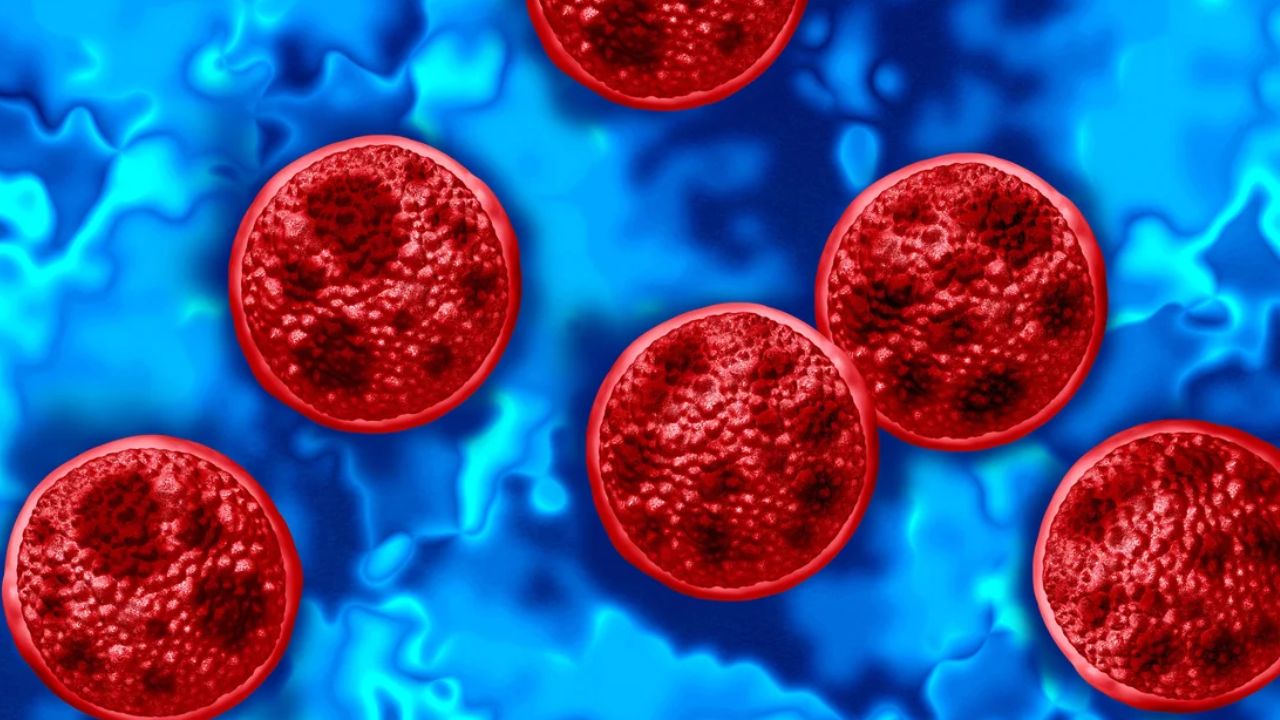 Health Officials Sound Alarm as Michigan Parasite Outbreak Tops 6,100 Cases Across 55 Counties