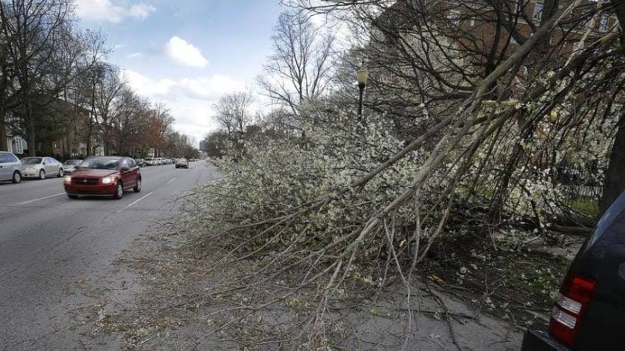 Indiana Weekend Weather Warning Storms, Damaging Wind Risk and Canadian Wildfire Smoke Could Affect the State