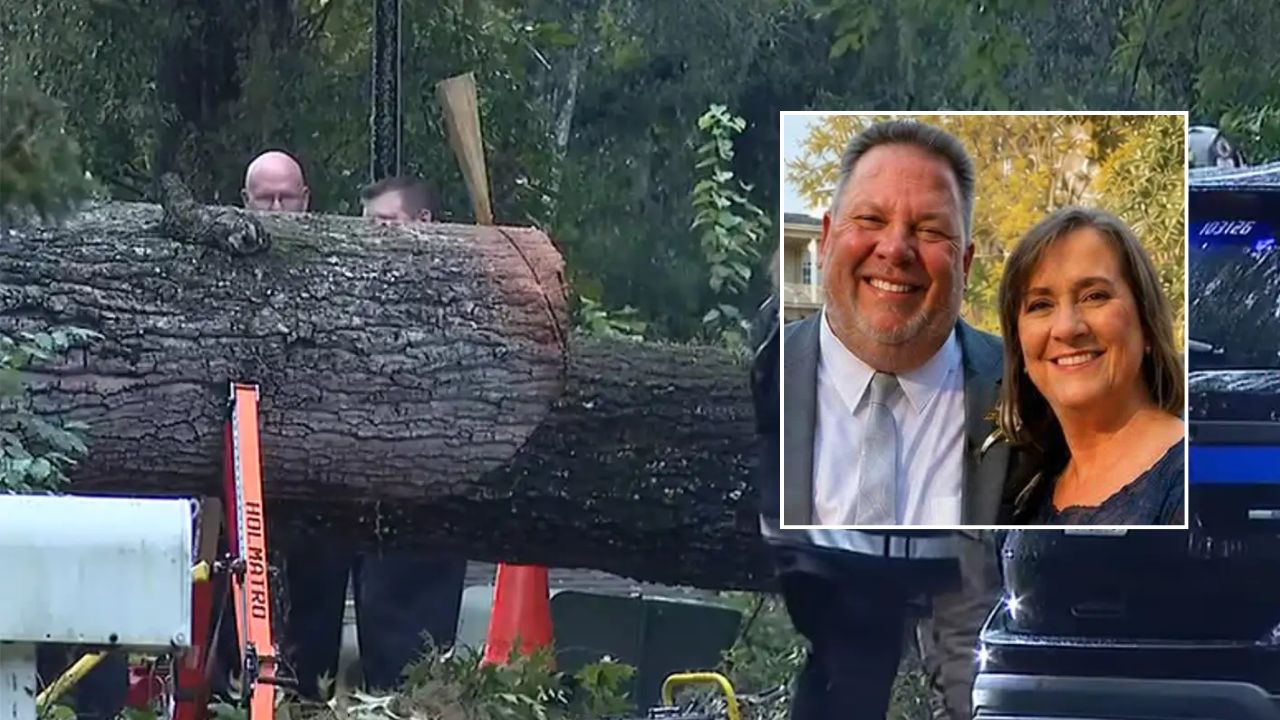 Minutes After Severe Storm Warning, Florida Couple Killed When Tree Crashes Onto Car During Sudden Storm
