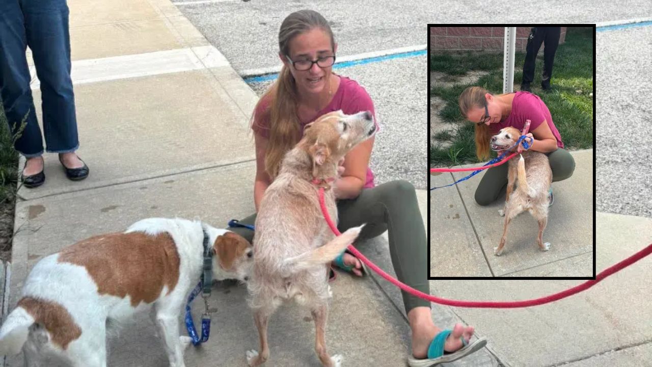 Missing Dog Vanished Without a Trace, Then Reappeared 642 Miles Away for an Emotional Reunion Five Years Later