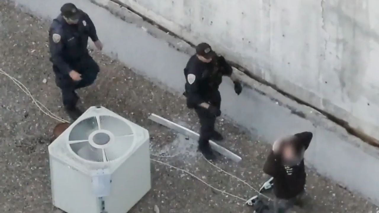 Nevada Man Accused of Killing Multiple Kittens Arrested After Alleged Hotel Rooftop Escape Attempt, Police Say