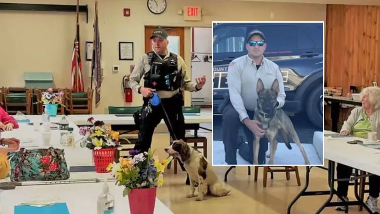 New Jersey Sergeant in Charge of K-9 Unit Charged After Two Police Dogs Allegedly Left in Hot Patrol Vehicle for Nearly 7 Hours