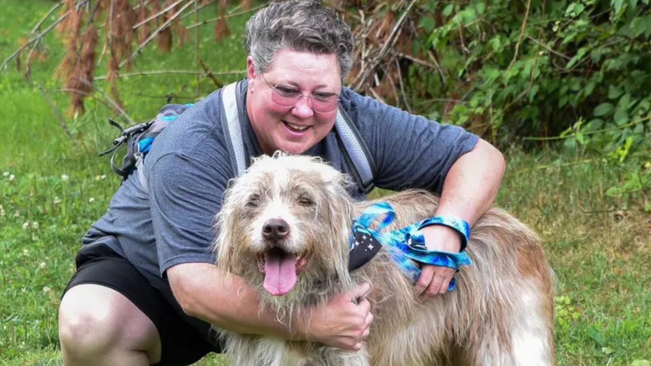 Shelter Dog Waited 7 Years for a Family, Then Spent 7 Months Earning One Woman’s Trust Before Finally Going Home