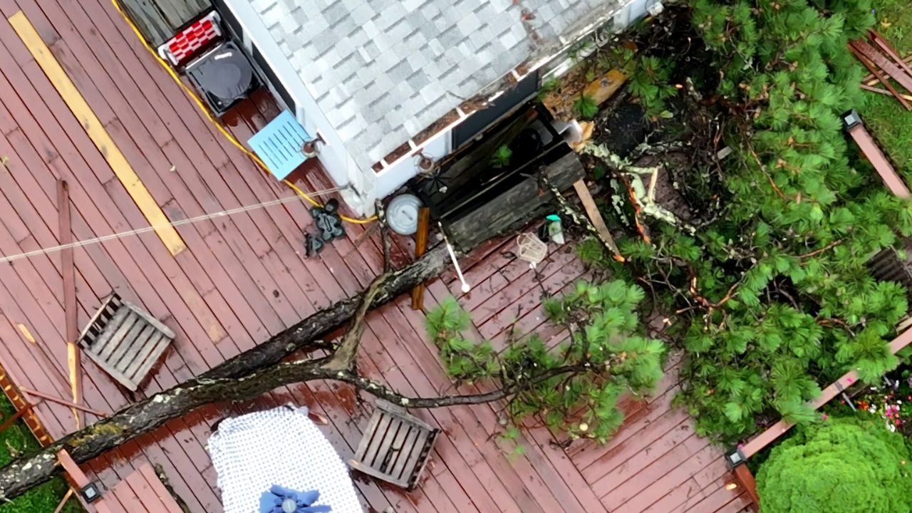 61-Year-Old Woman Steps Outside During a Break in the Rain Seconds Later, a Falling Tree Leaves Her Dead