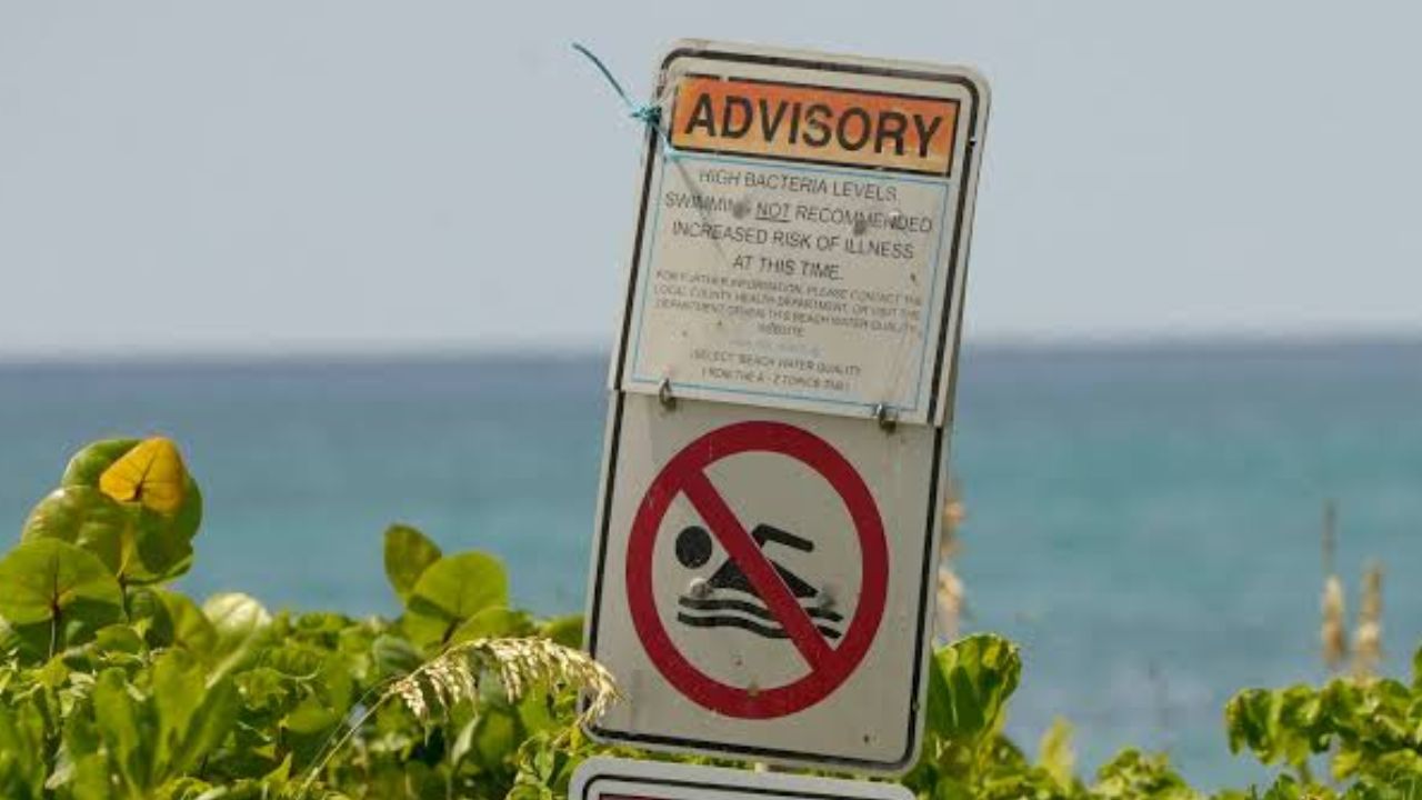 Beachgoers Warned 10 Atlantic City Beaches Under Swimming Advisories After Fecal Bacteria Levels Spike