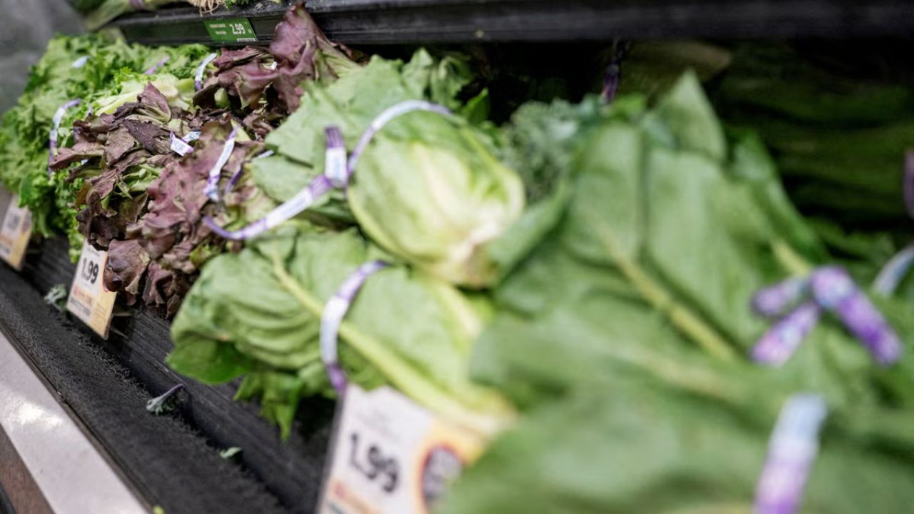 Beware FDA Names Major Brands Hit by Massive Lettuce Recall Linked to Parasite Outbreak