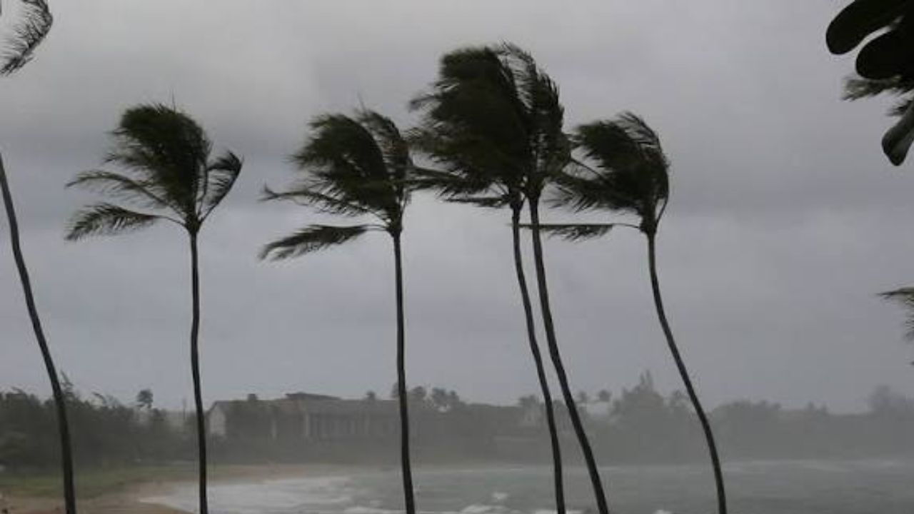 California, Texas, Florida, New York, and More Could See Dramatic Weather Shifts as Scientists Warn of a Powerful El Niño