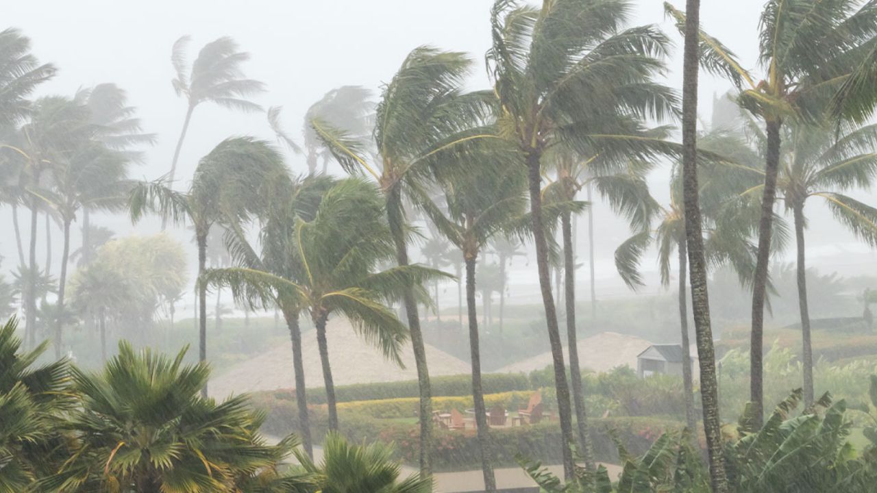 Dangerous Weekend Ahead for Hawaii Tropical Storm Lala Strengthens, Hurricane Warning Issued for Big Island