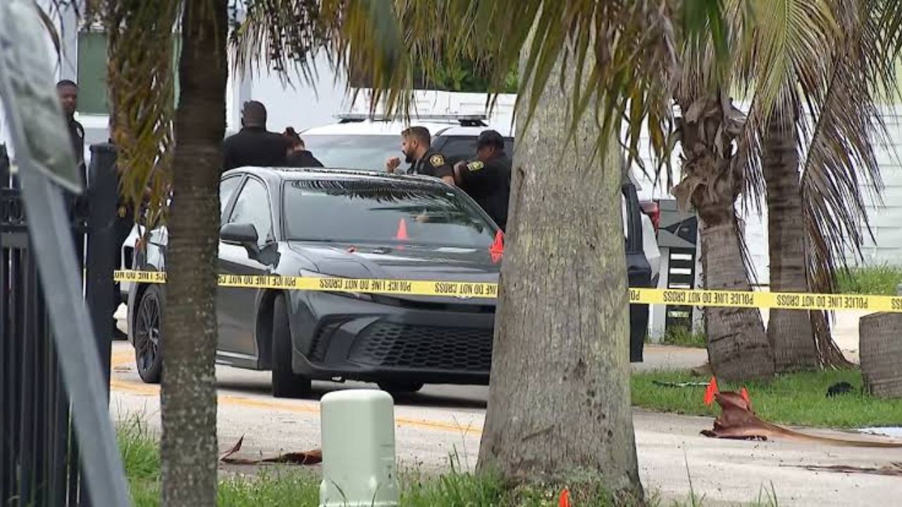 Florida Dog Owner Shoots and Kills Attacking Dog After Desperate Attempt to Save His Pet, Police Reveal What Happened Next