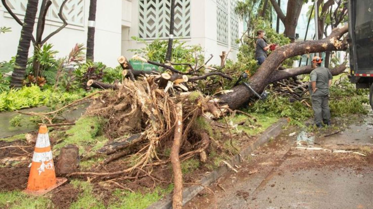 Hawaii Hit by Devastating Aftermath of Hurricane Lala as Floodwaters Kill 90-Year-Old Woman, Destroy Homes and Cut Power