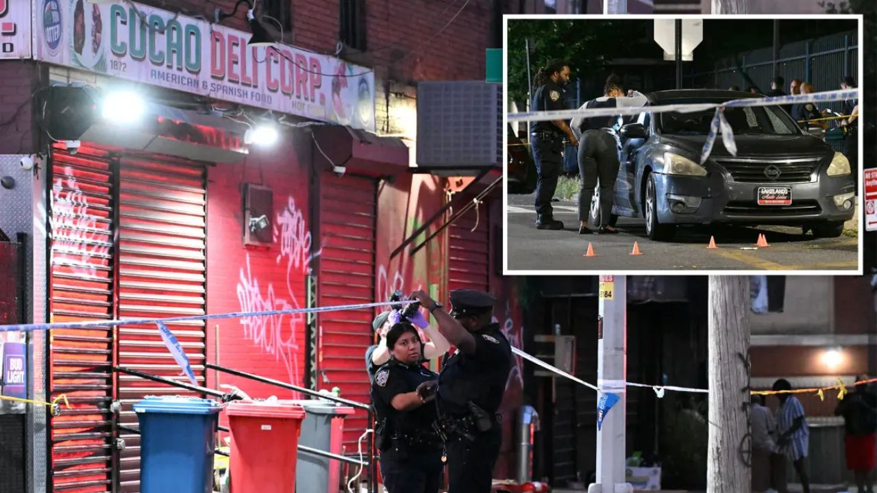 Innocent NYC Mom of Five Dies After Stray Bullet Hits Her During Brooklyn Brawl as Police Search for Shooter