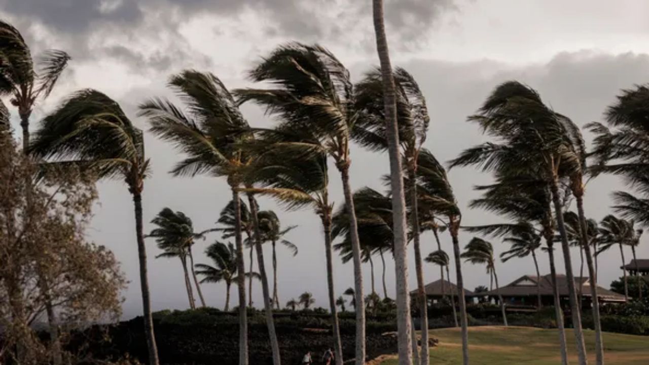 Tropical Storm Lala Brings a Stunning Winter Surprise to Hawaii Snow Falls on Mauna Kea Amid 100-MPH Winds