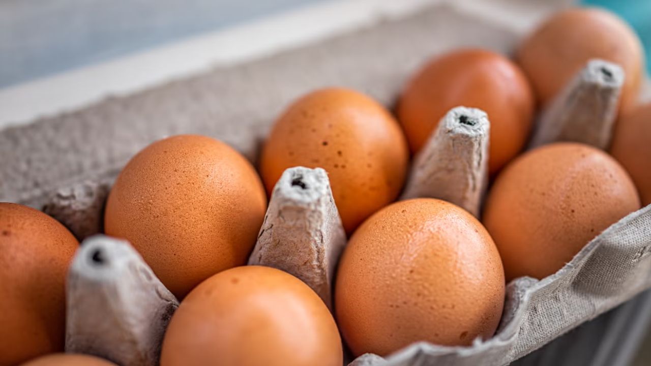 Urgent Egg Recall Warning FDA Labels Recalled Eggs Highest Risk After Salmonella Outbreak Sends 26 People to Hospitals