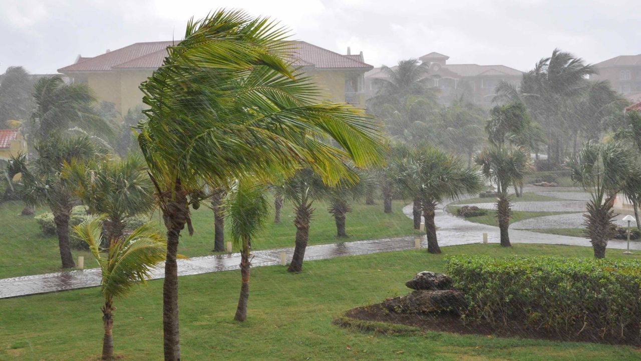 Warning for Florida and the Southeast Torrential Rain, 50 MPH Winds and Flash Flooding Could Strike Popular Cities